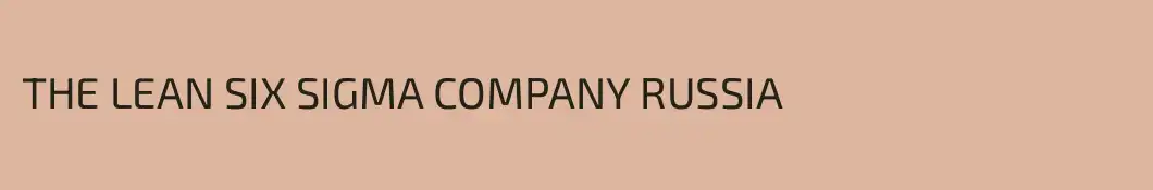 THE LEAN SIX SIGMA COMPANY RUSSIA